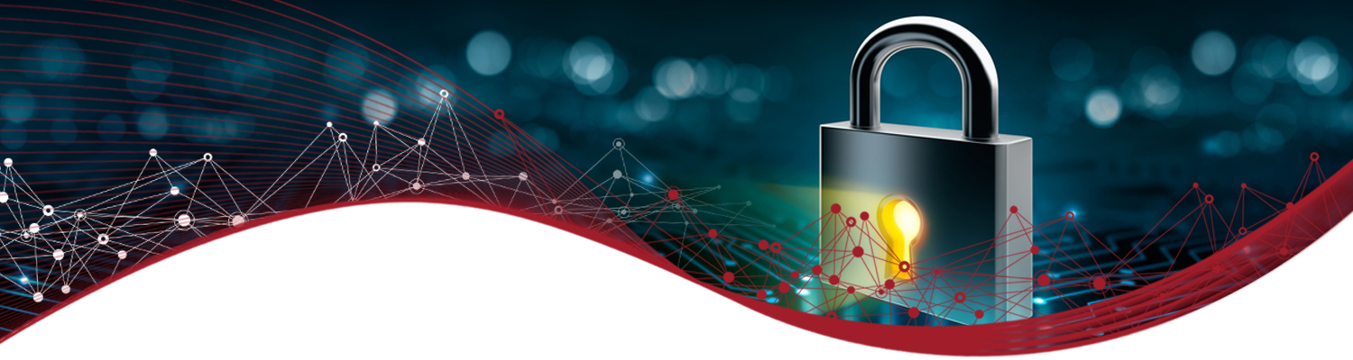 Encrypted Private SD-WAN banner